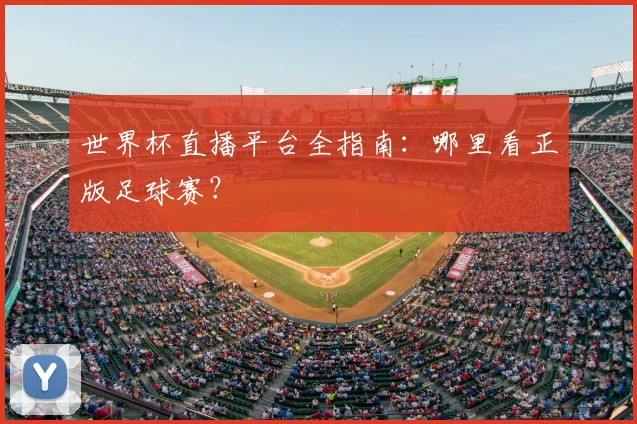 世界杯直播平台全指南：哪里看正版足球赛？